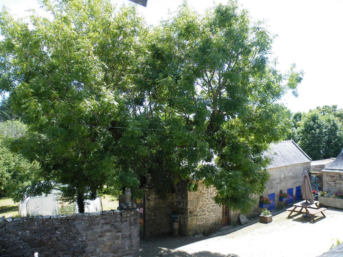La Ferme Du Bout Du Monde Bed & Breakfast โพลกอฟฟ์ ภายนอก รูปภาพ