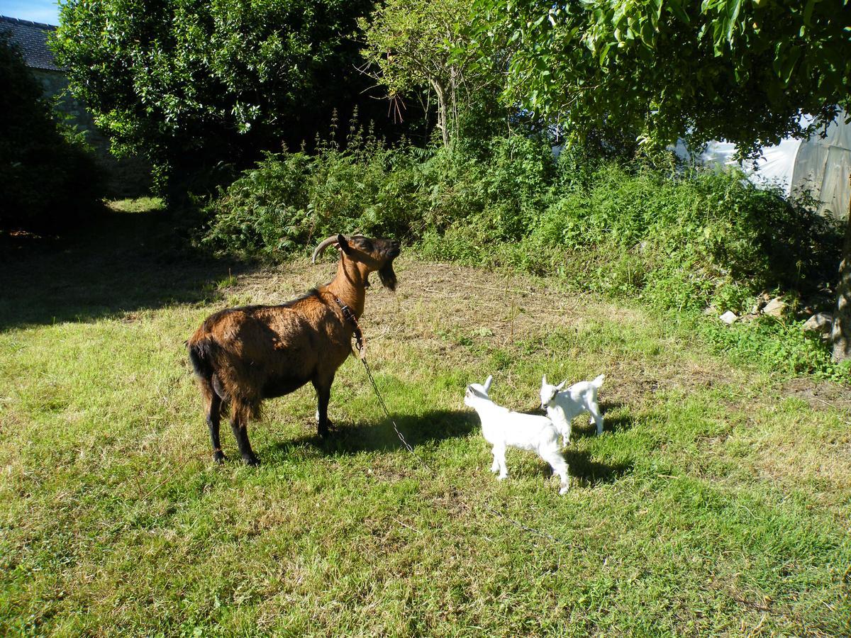La Ferme Du Bout Du Monde Bed & Breakfast โพลกอฟฟ์ ภายนอก รูปภาพ